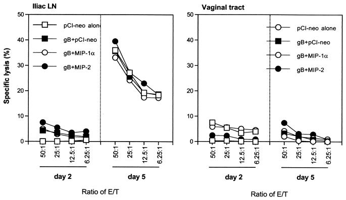 FIG. 8