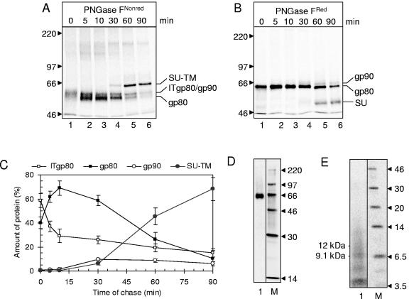 FIG. 7.