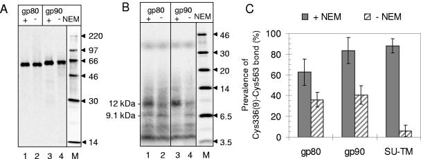 FIG. 5.