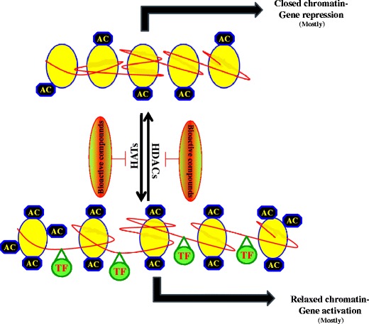 Fig. 2