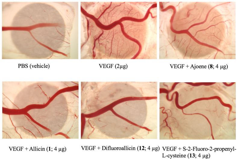 Figure 6