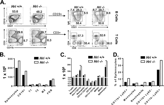 FIG 6