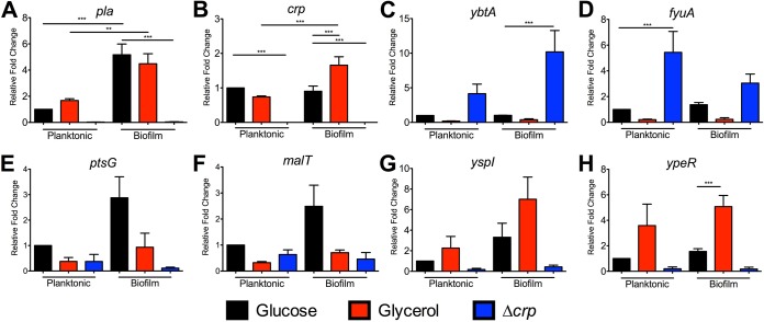 FIG 4