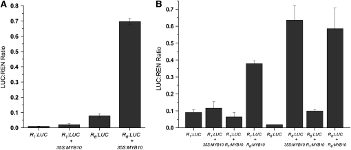 Figure 4.