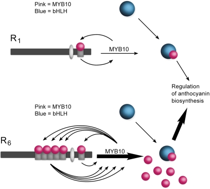 Figure 9.