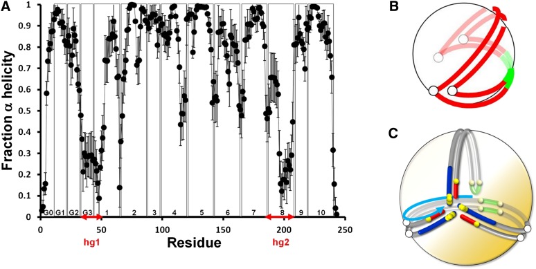 Fig. 7.