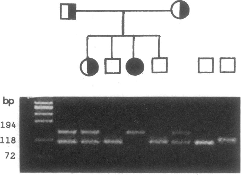 graphic file with name pnas01029-0178-c.jpg