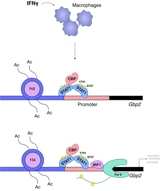 Figure 5