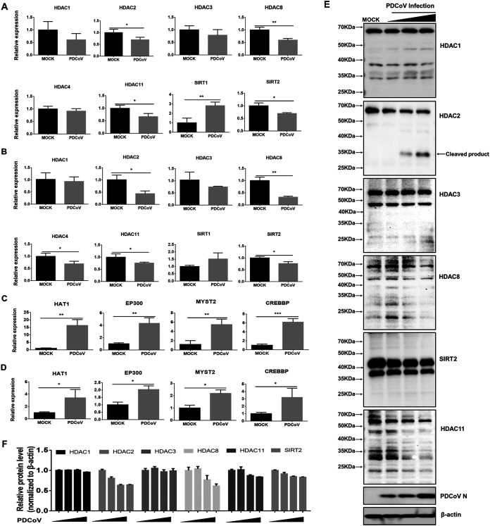 FIG 2