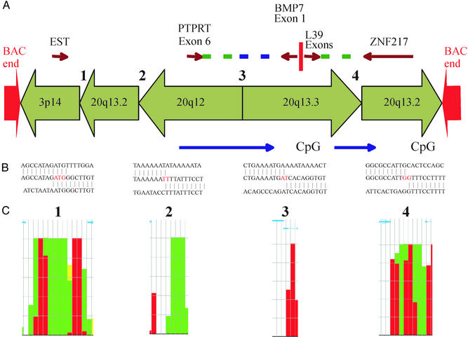 Fig. 4.