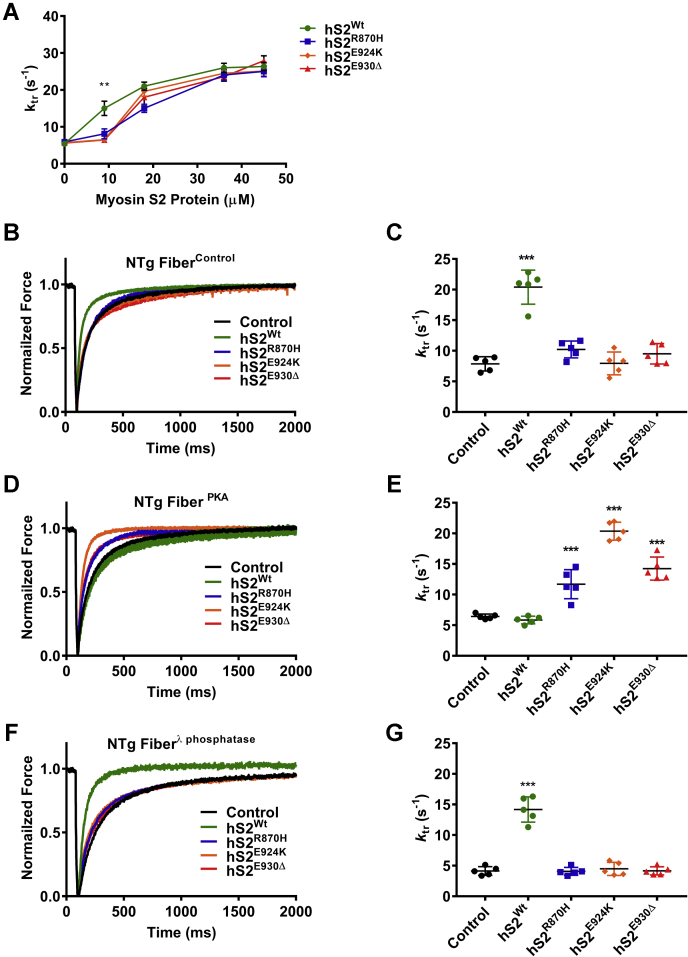 Figure 5