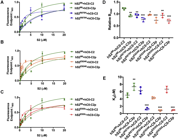 Figure 2