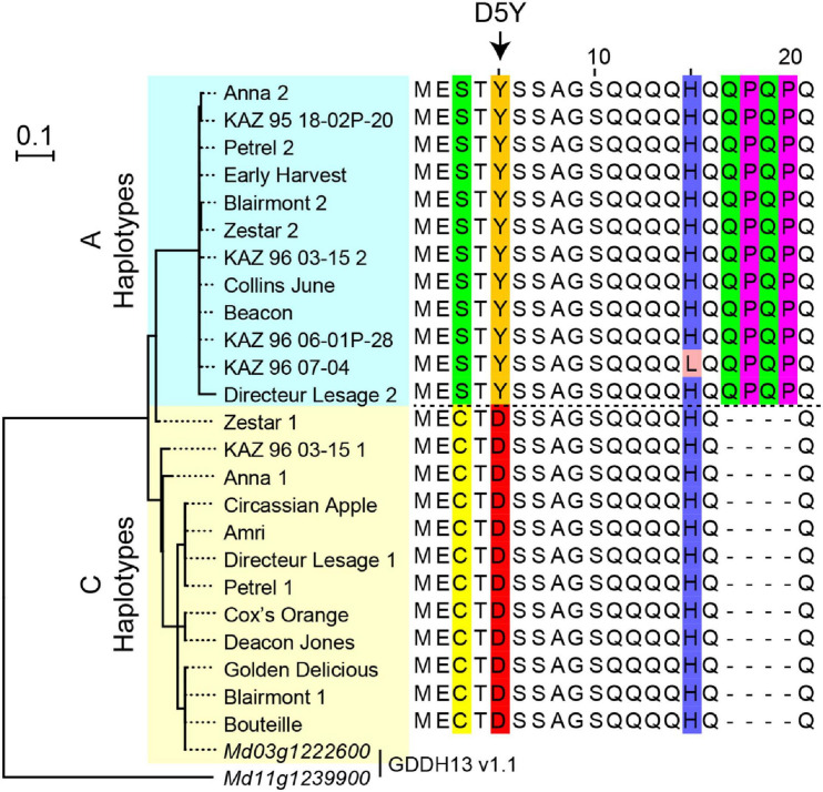 FIGURE 3