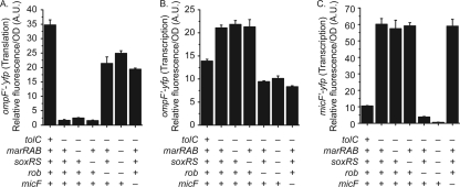 Fig. 6.