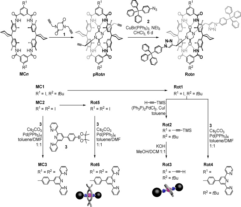 Scheme 1