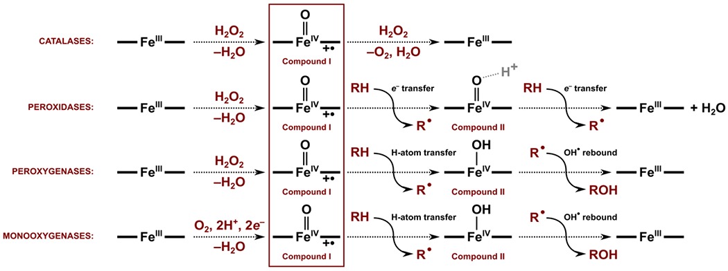 Scheme 1.