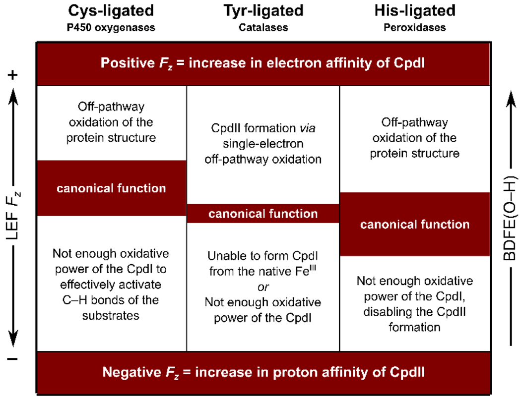 Scheme 4.