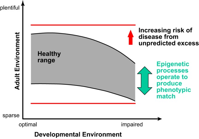 FIGURE 2.