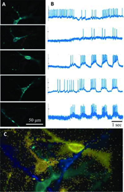 Figure 4