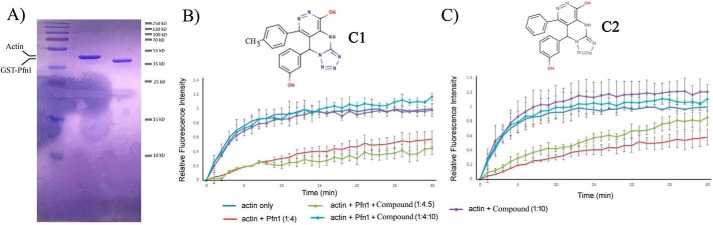 Figure 2.