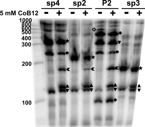 Fig. 5.