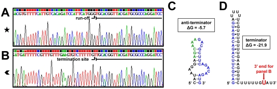 Fig. 8.