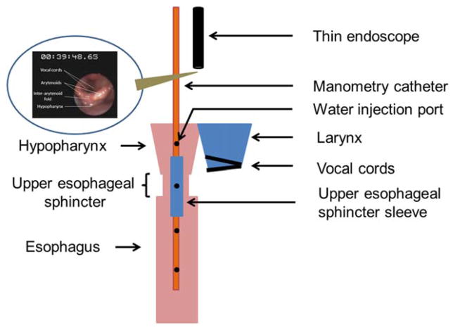 Fig. 1