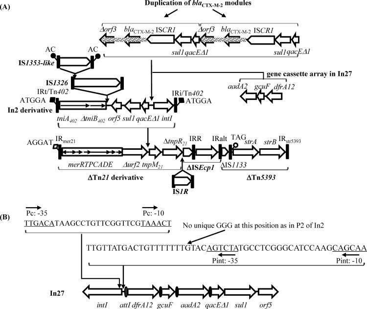 FIG 2