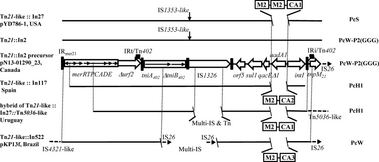 FIG 3