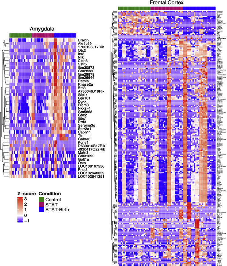 Figure 6