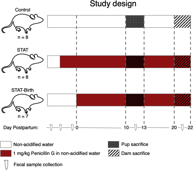 Figure 1