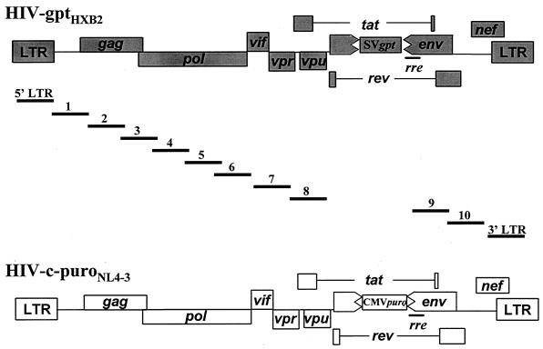 FIG. 1.