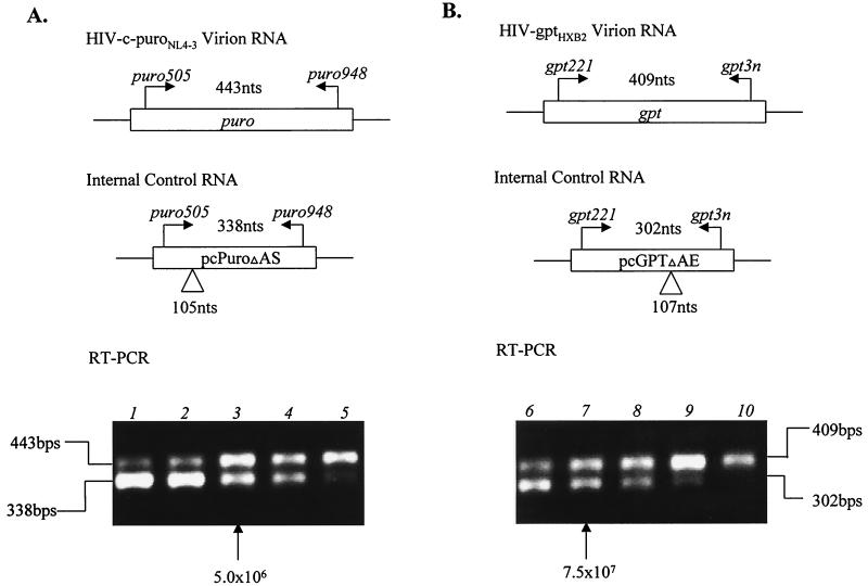 FIG. 6.