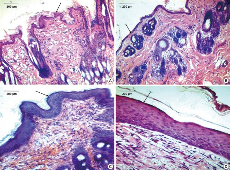 Fig. 9