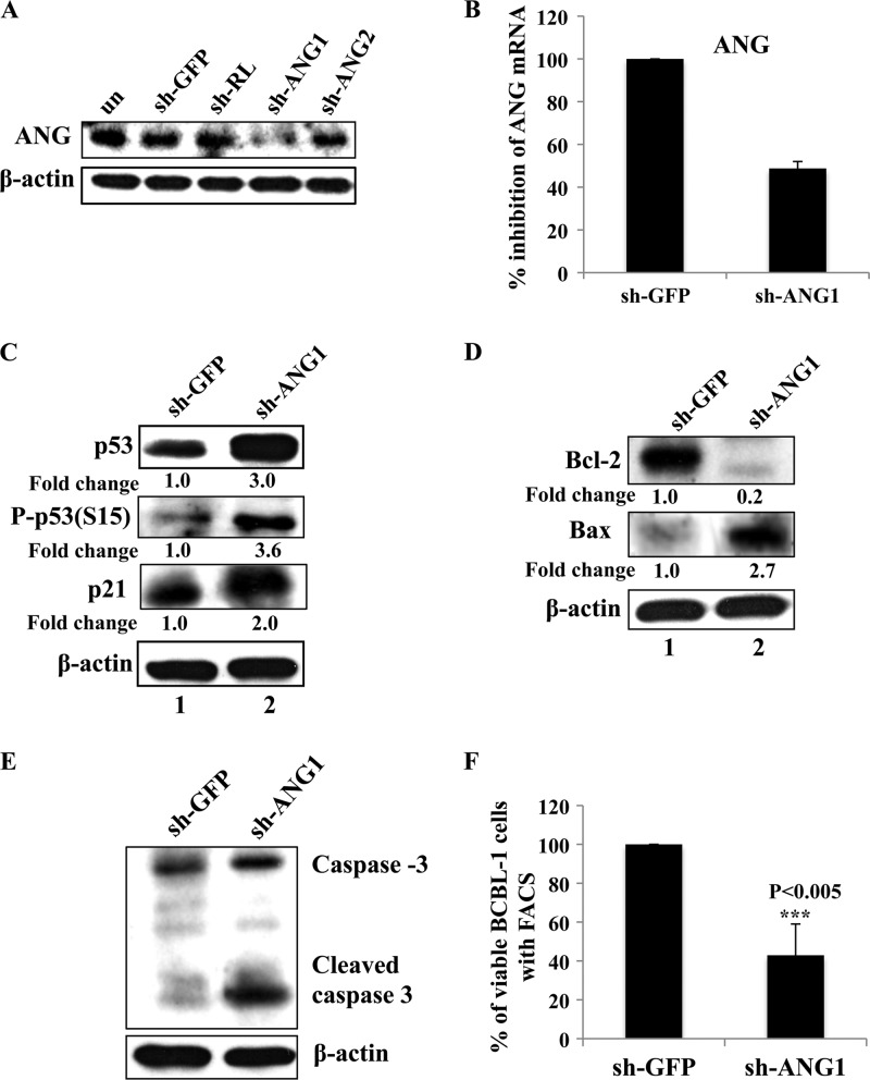 Fig 11