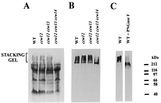 FIG. 7