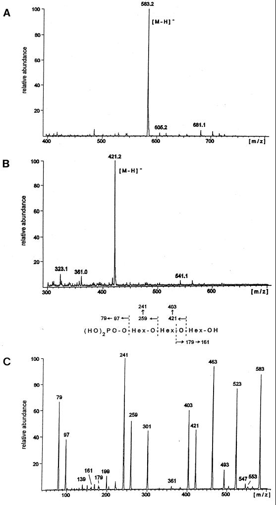 FIG. 6