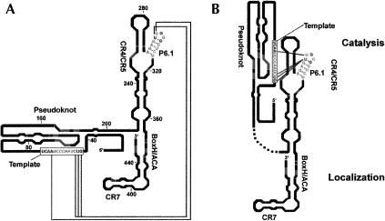 FIGURE 10.