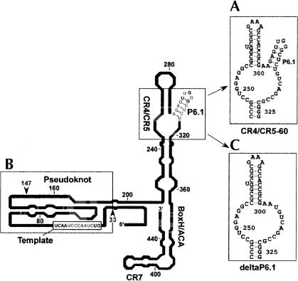 FIGURE 1.