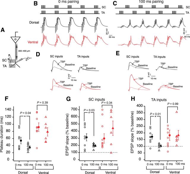 Figure 11.