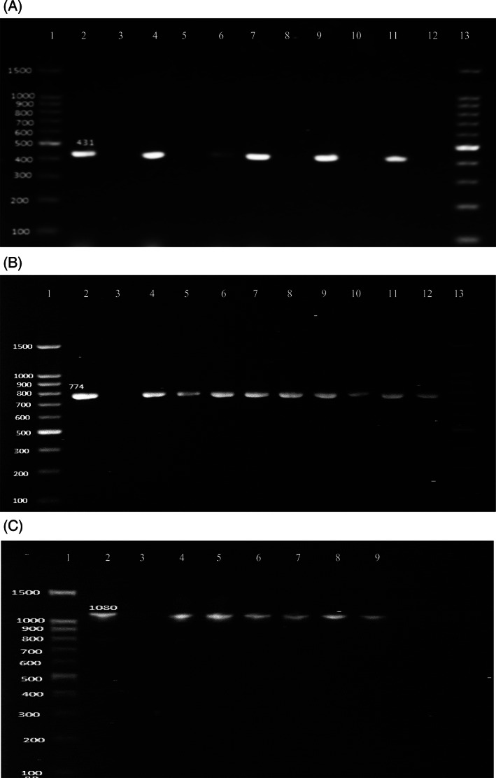 FIGURE 3