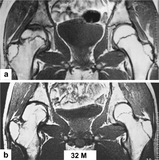 Fig. 6