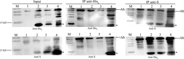 FIG 3