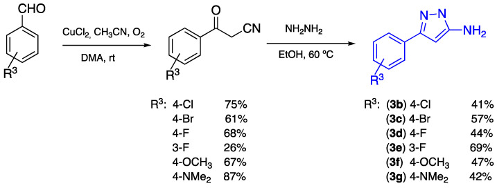 Scheme 4