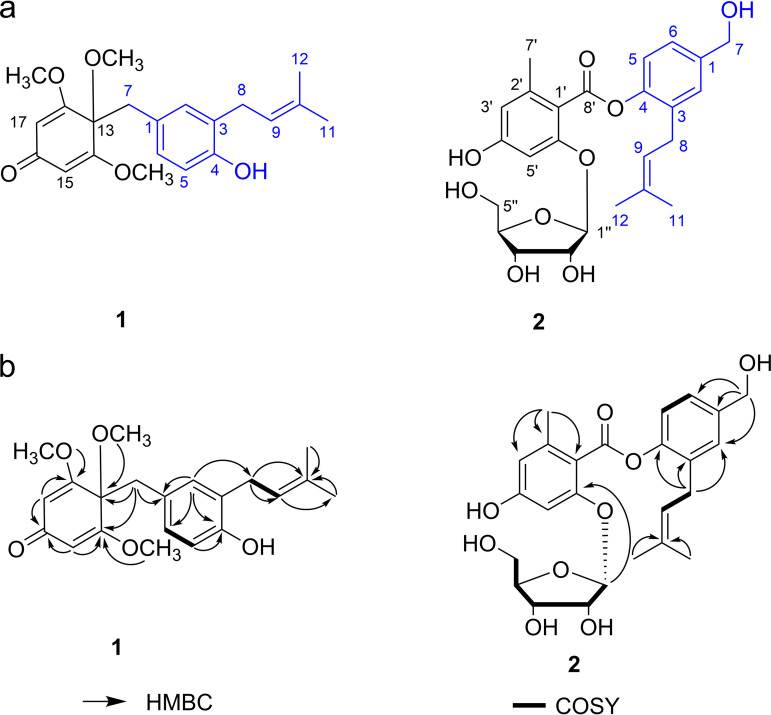 FIG 6