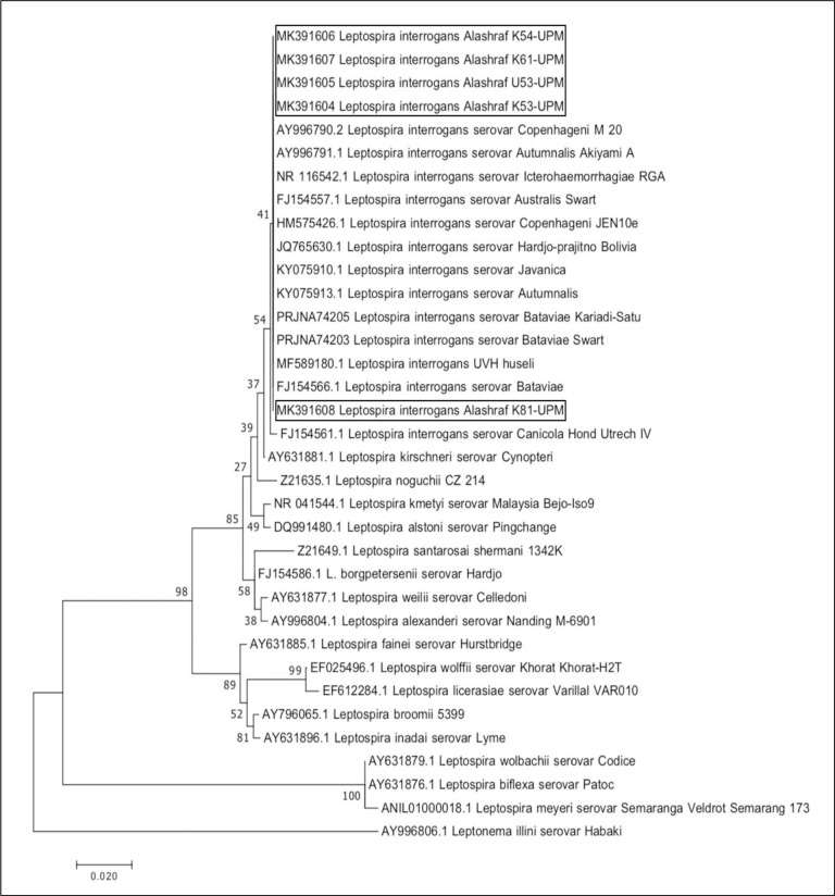 Fig 1