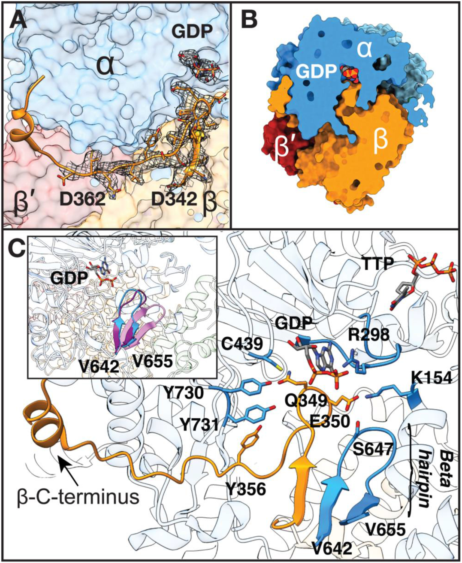 Fig. 2: