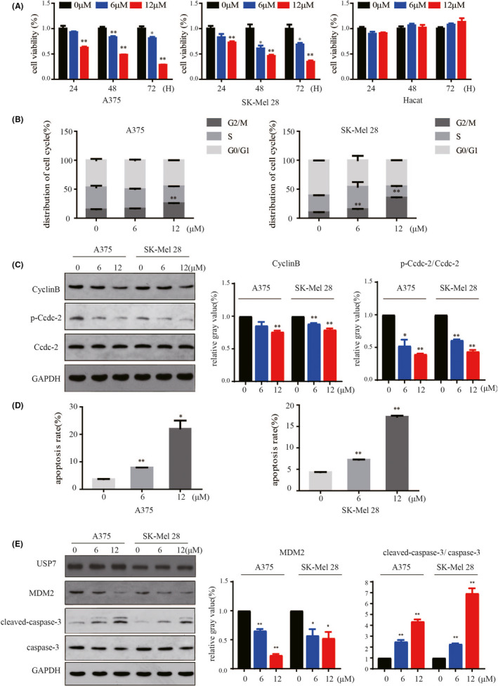 FIGURE 2