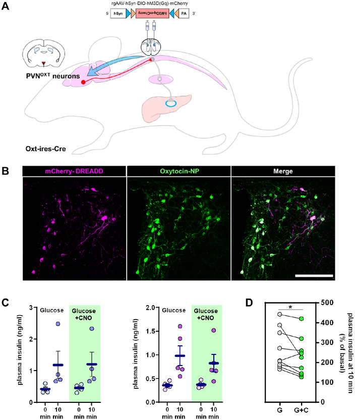 Figure 4.