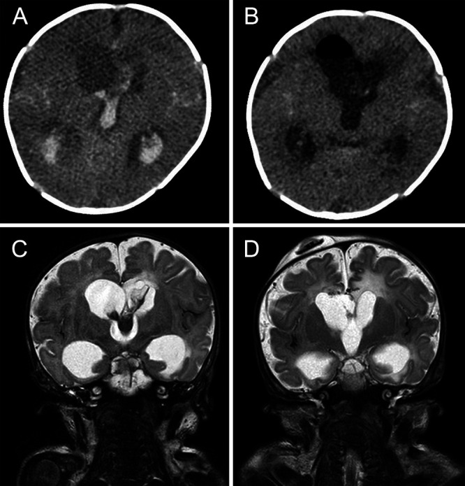 FIG. 1.